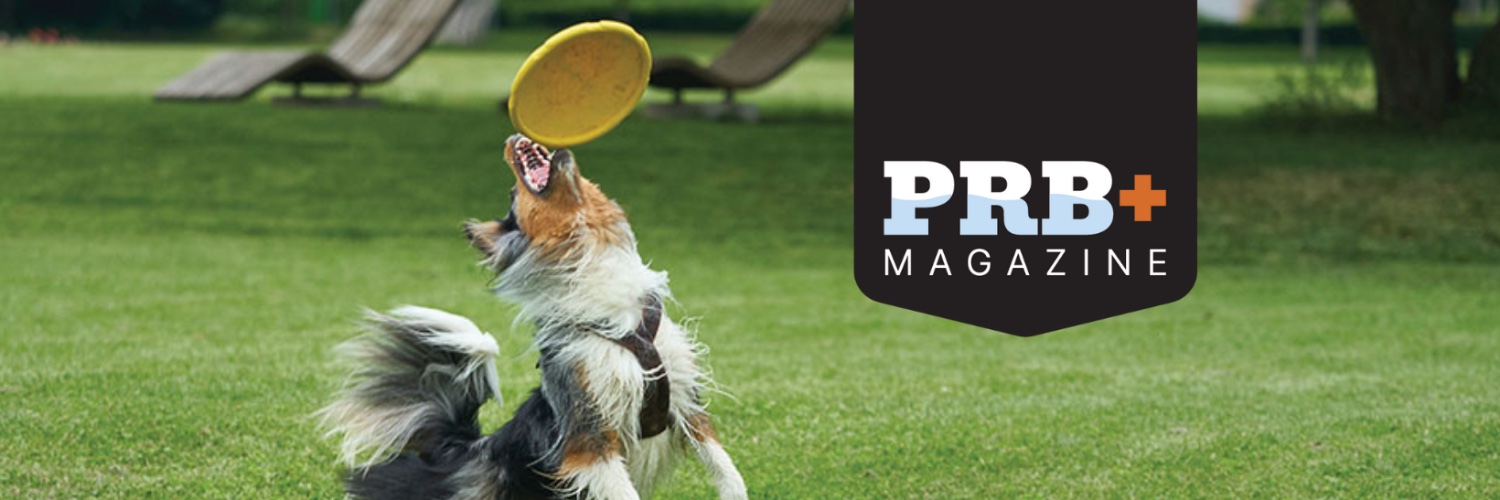 PRB+ Magazine banner