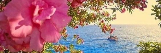 SevcanYesim26's profile banner image