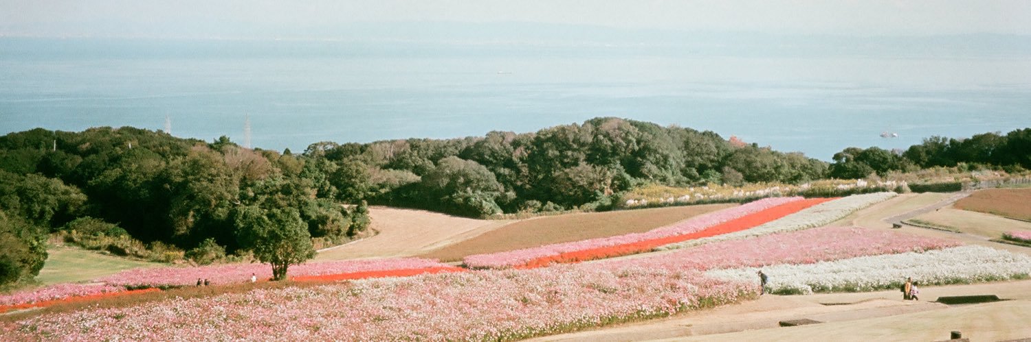 dif 𓆉𓂃 ོ☼𓂃 banner