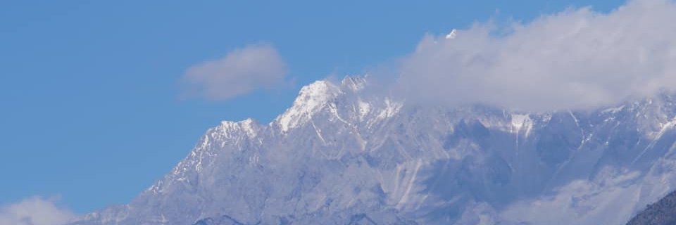 penguinny's profile banner image