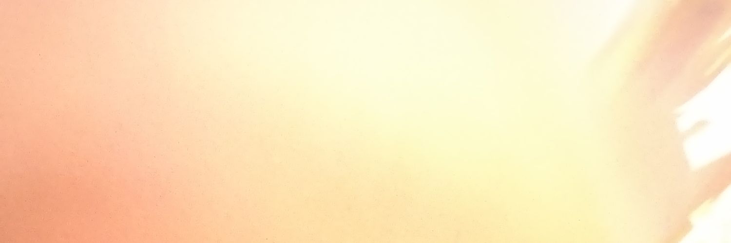 whoops banner