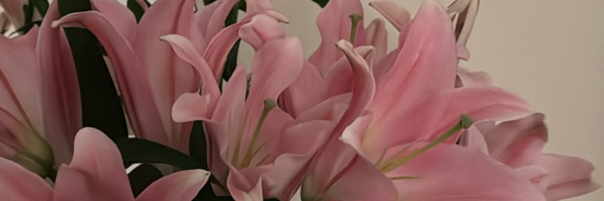 Rtmnora's profile banner image