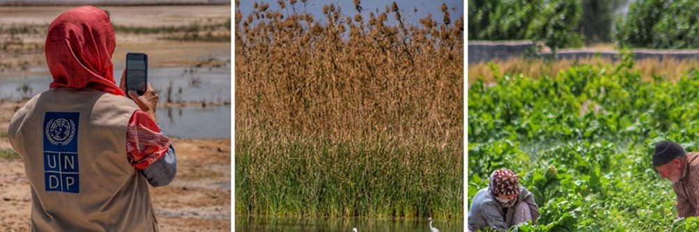 UNDP Iran banner