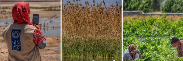 UNDPIran Profile Banner