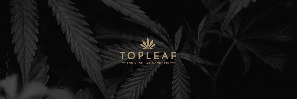 Top Leaf banner