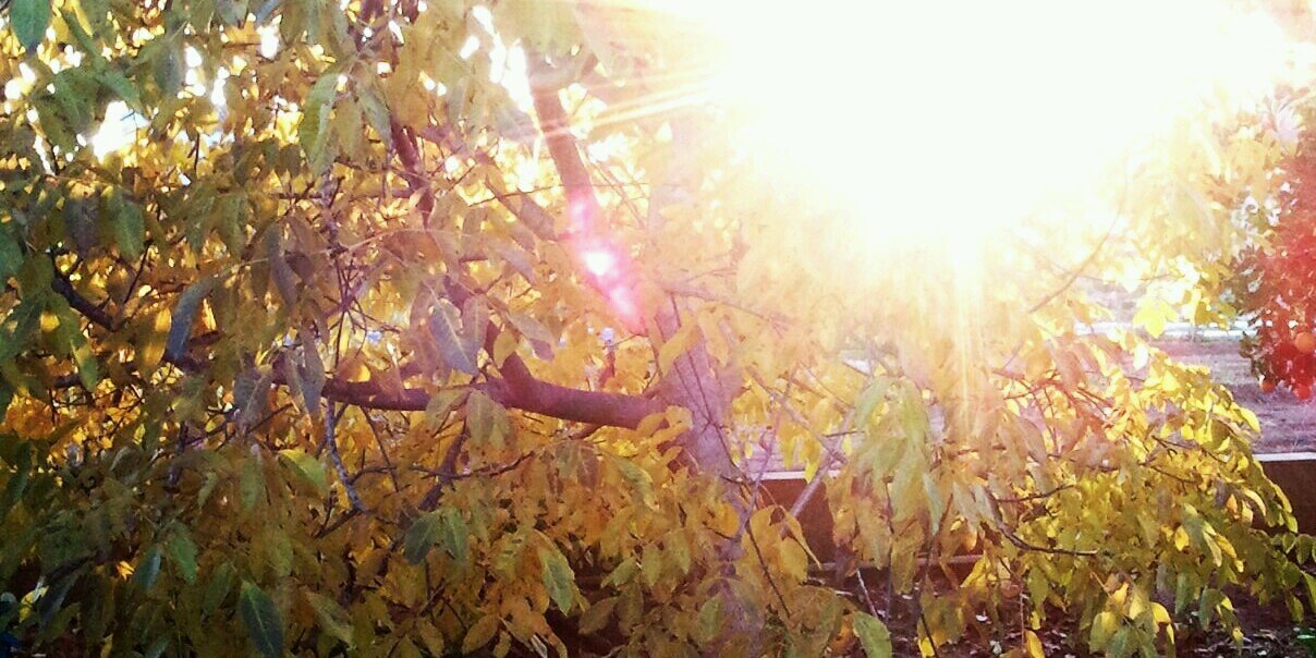 MariaOlasoF's profile banner image