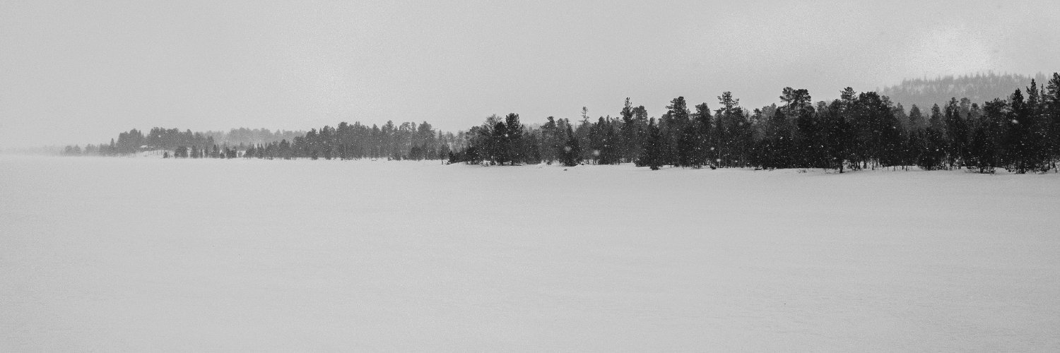 Thomas Schubert banner