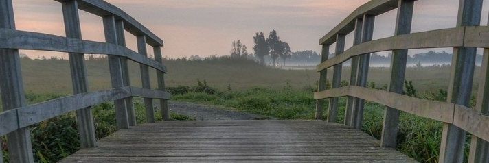 muchoori's profile banner image
