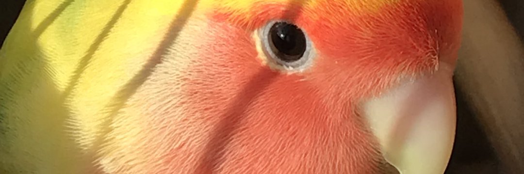 弐憶貯男 @2okaetam banner