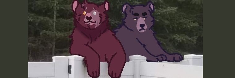 zackoweewee 🍉🫒 // banner