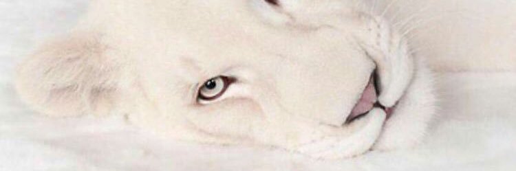 rociod33's profile banner image