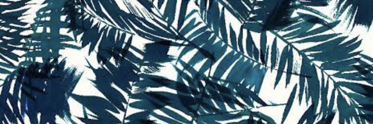 may_elvira's profile banner image