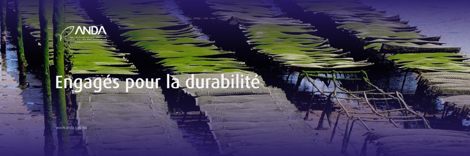 ANDAMaroc's profile banner image