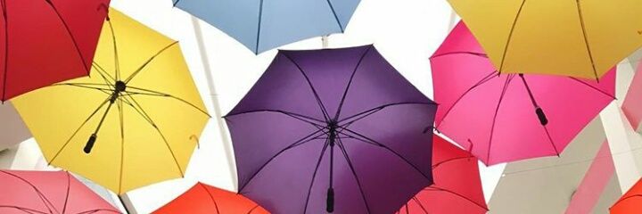 scarlttes's profile banner image
