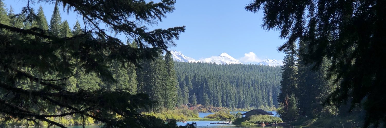 JoAnne Dirt 🇺🇸 banner