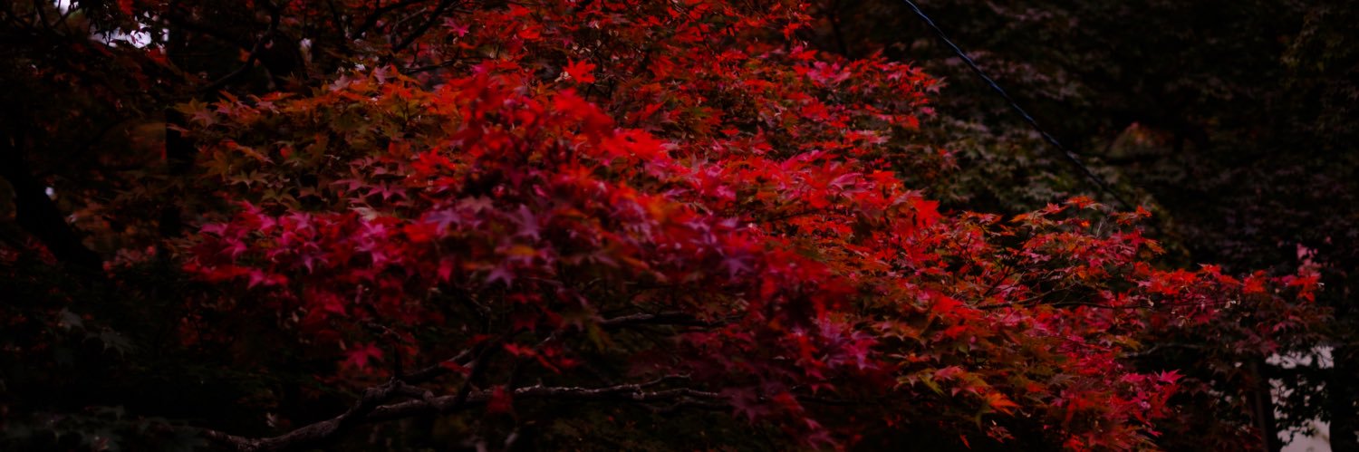 agon4444444's profile banner image