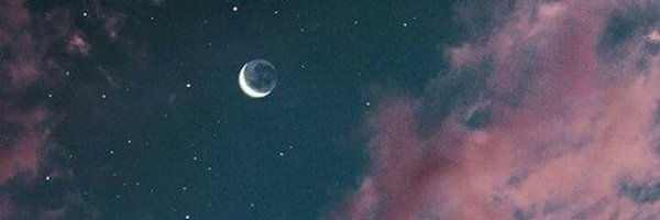lauragermanco Profile Banner