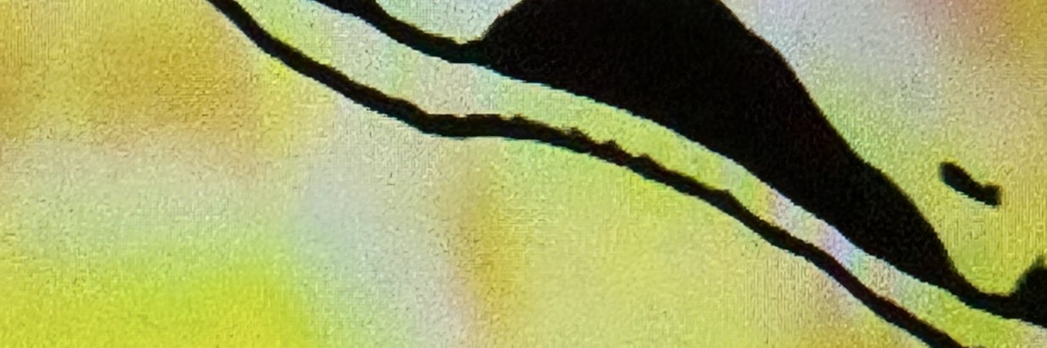 bajomarte's profile banner image