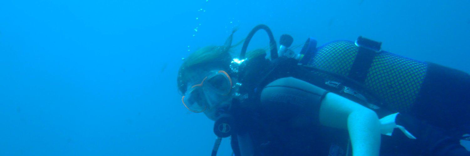 Becky Phillips banner