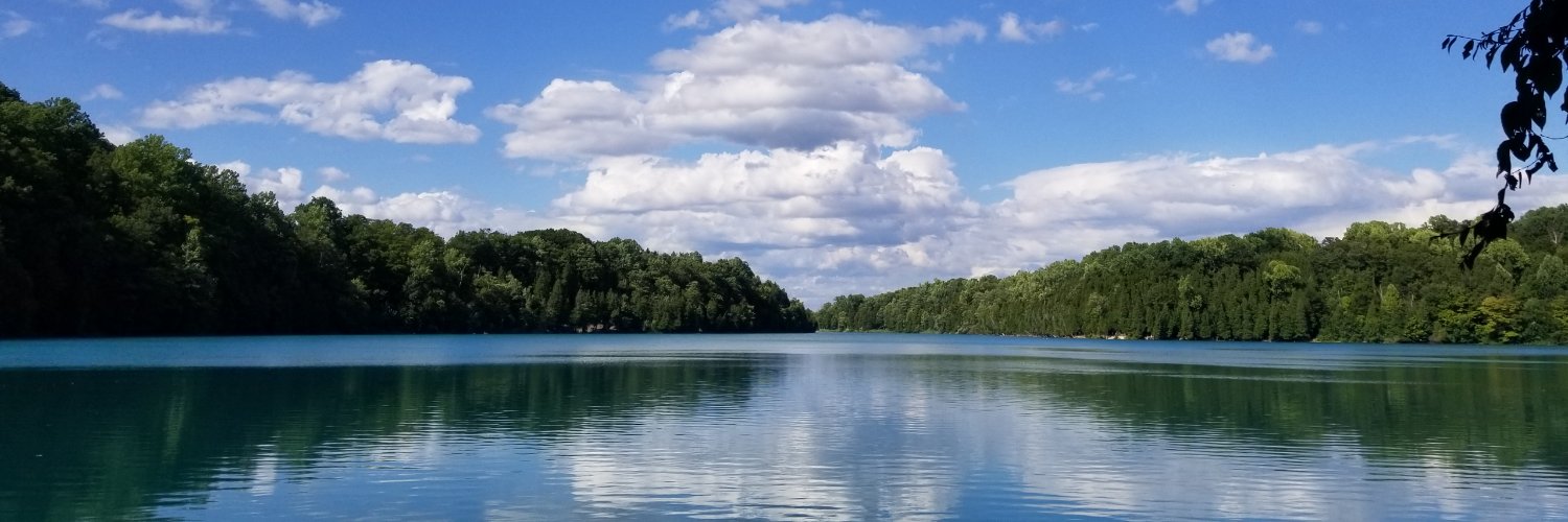 Nicholas Ellis banner
