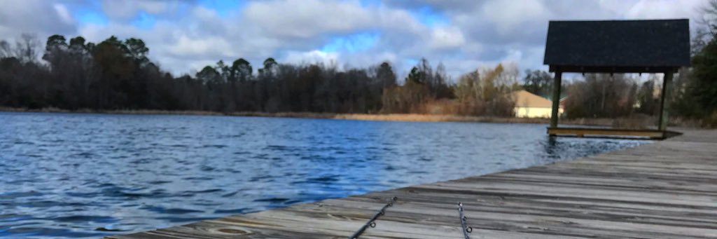lakeviewmd's profile banner image