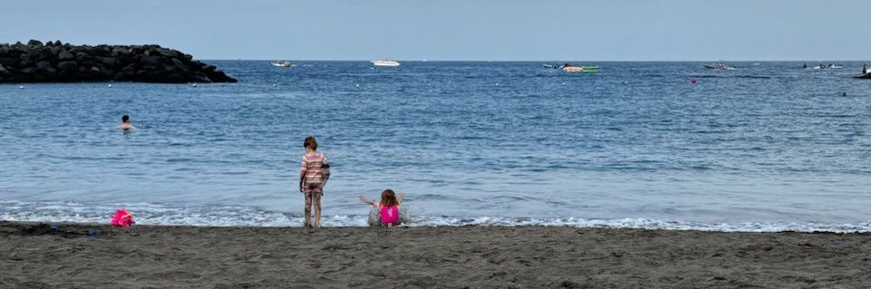 Floriann Everingham banner