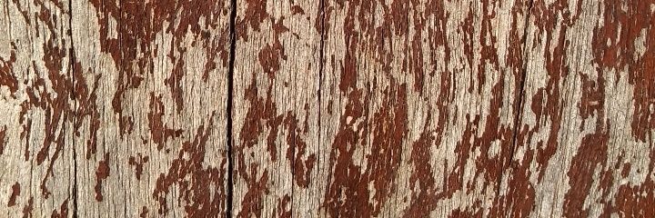 SheiiOrtega's profile banner image