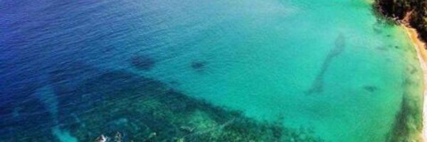 BrendonIBest Profile Banner