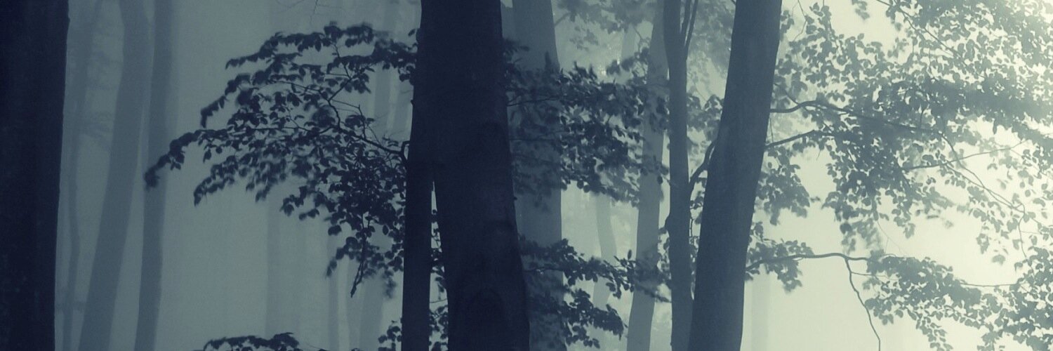 Dianne Sylvan (Taylor’s Version) banner