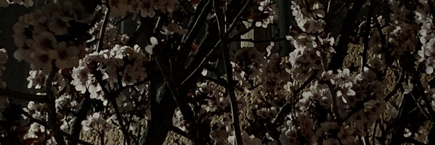 RobertoSanRo's profile banner image