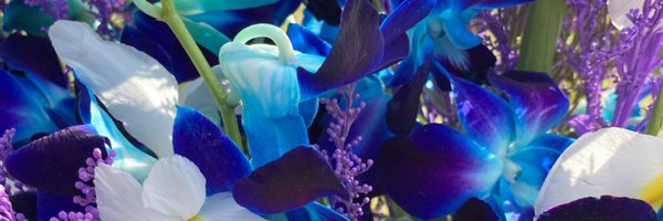 jenedyyy Profile Banner