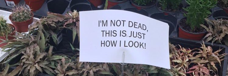 Jurídico Seu Bagdá banner