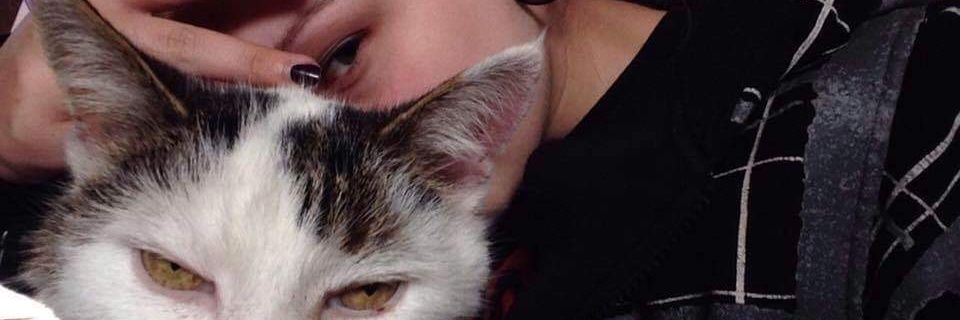 kittyquen's profile banner image
