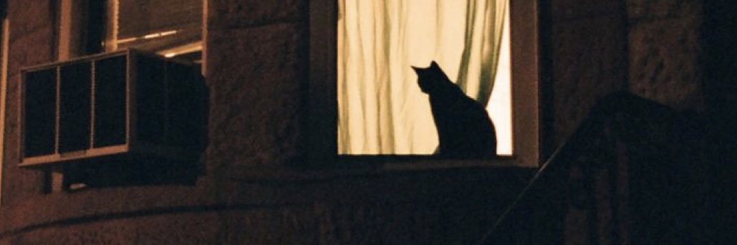 19_saron's profile banner image