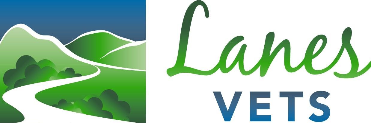 Lanesvets's profile banner image