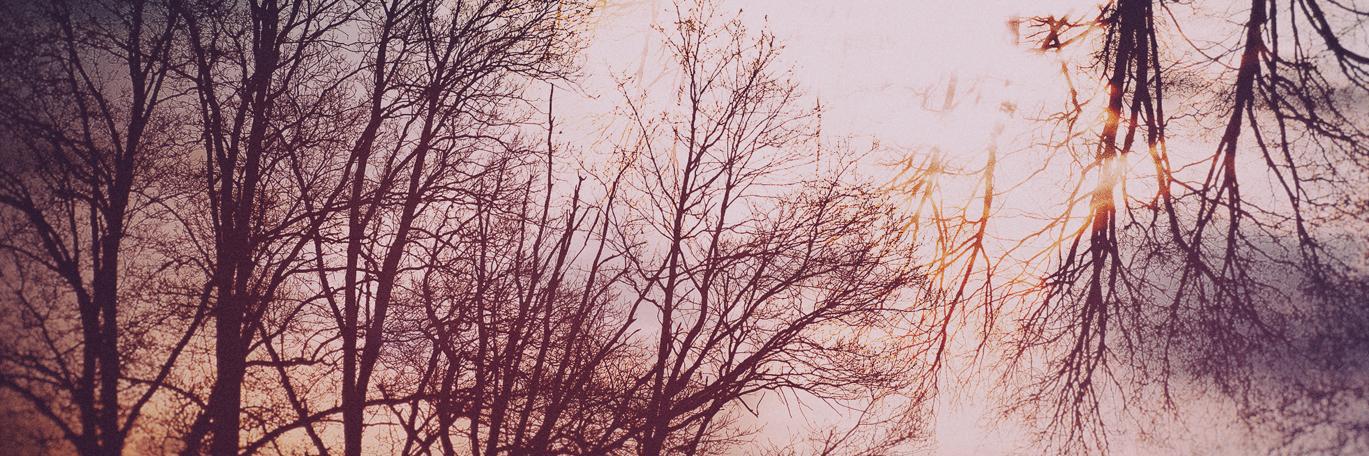 Jani Peternelj banner