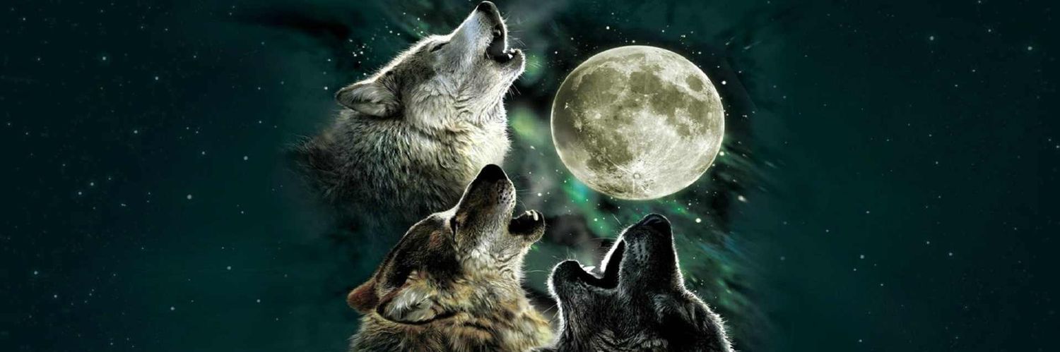 WolfLegend73's profile banner image