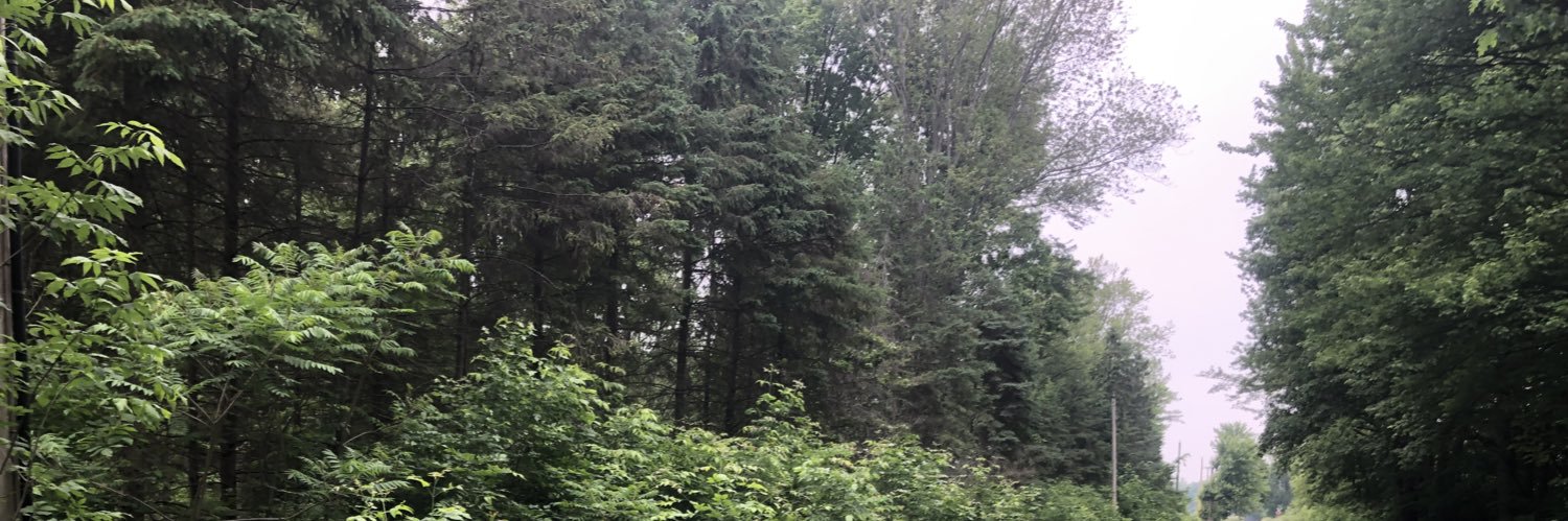 naftelworld 🇺🇦 banner