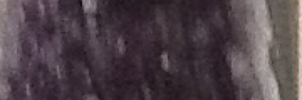 jacobskarend Profile Banner