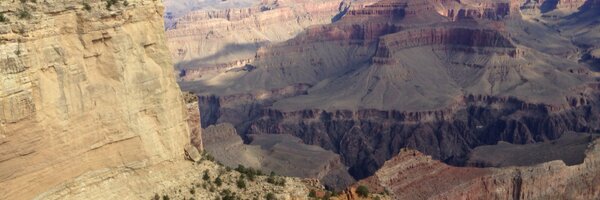 GramsDebbie Profile Banner