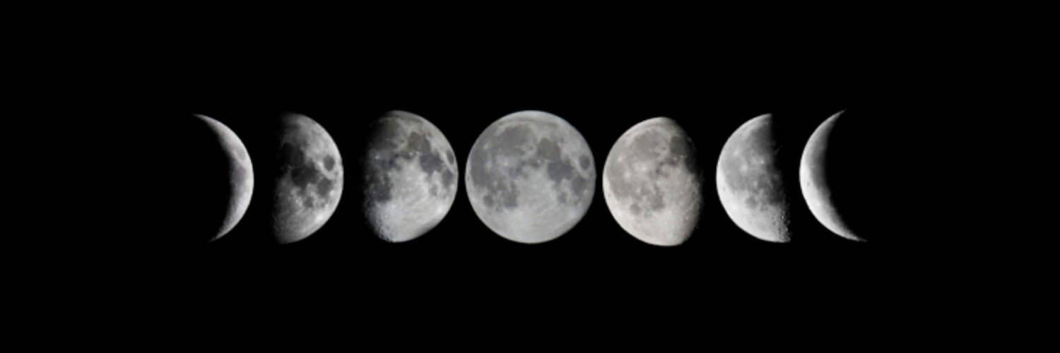 maysaxdis's profile banner image