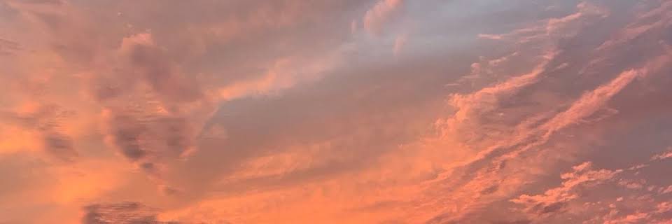 lexiencina's profile banner image