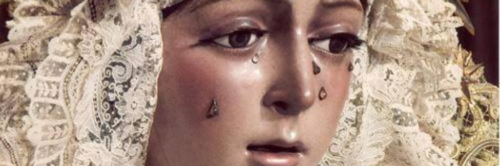 elisafvs's profile banner image