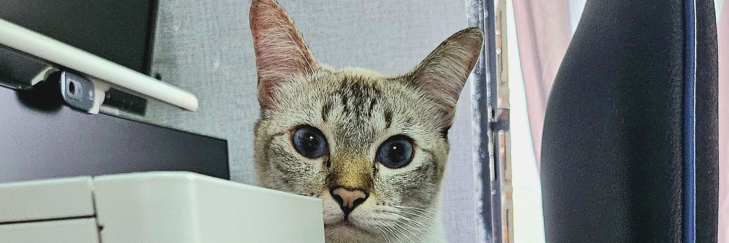 semanismoon's profile banner image