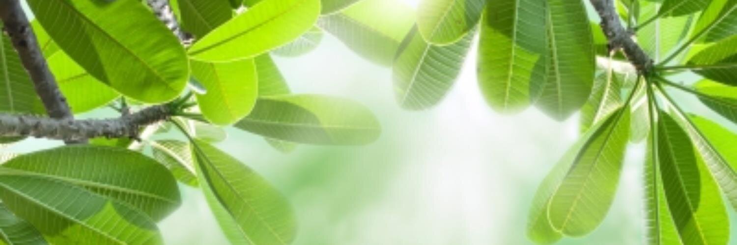 Organic_Reality's banner