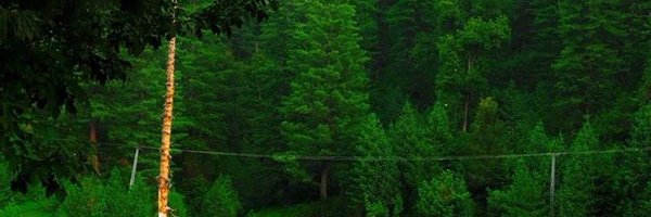 arifullah7760 Profile Banner