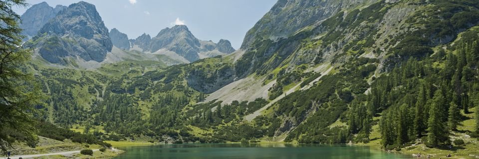 crestb39's profile banner image