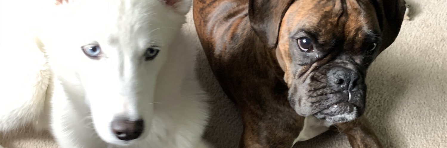 LynnSeats's profile banner image