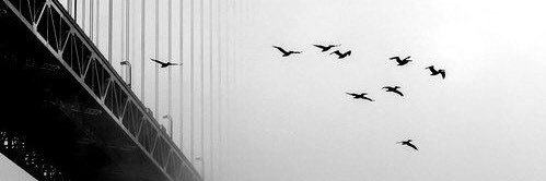 Tici banner