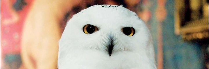 Olmamu76's profile banner image